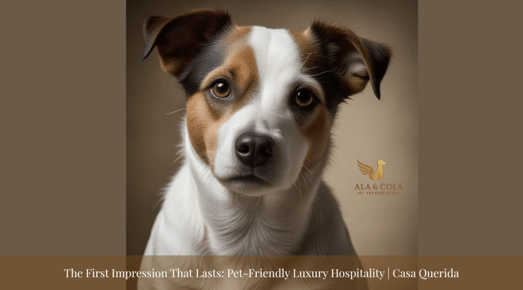 The First Impression That Lasts: Why Pets Deserve a Five-Star&nbsp;Welcome